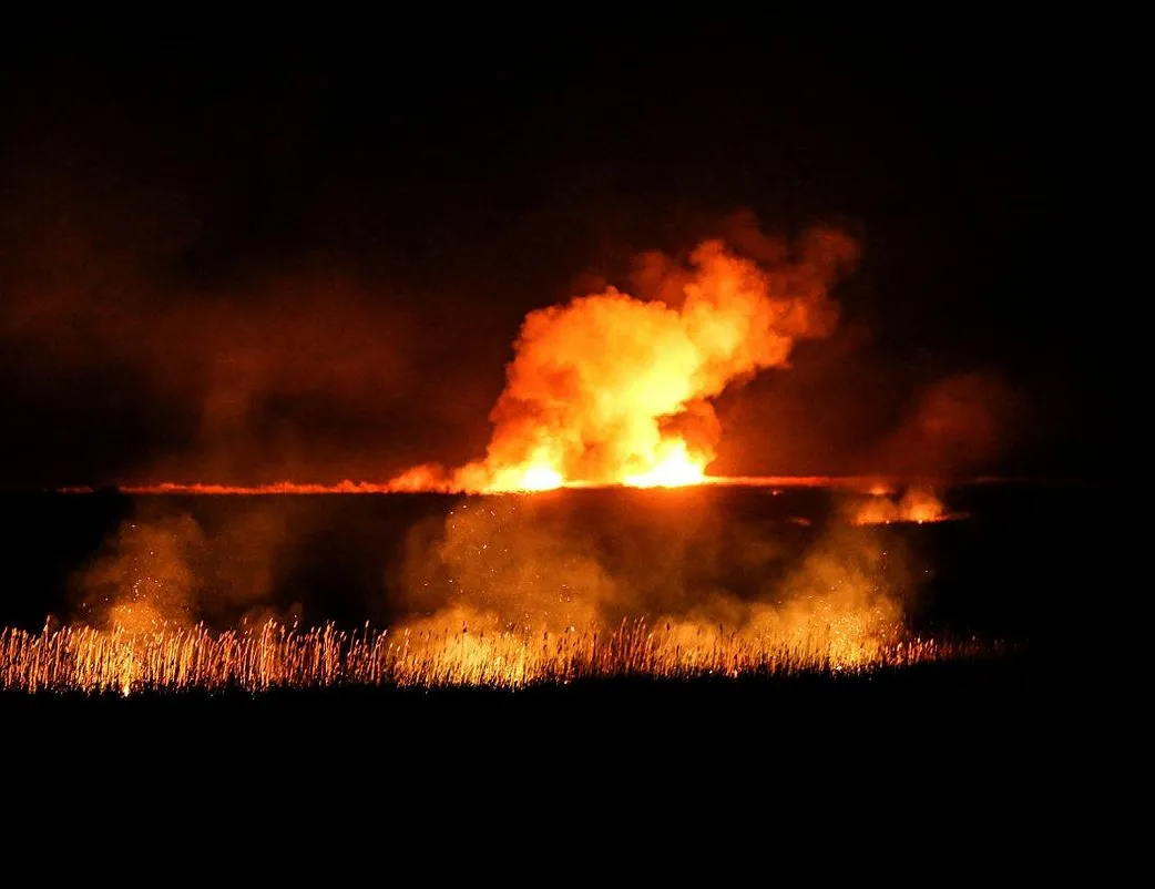 Göksu Deltası’nda yangın! Alevler içinde kaldı