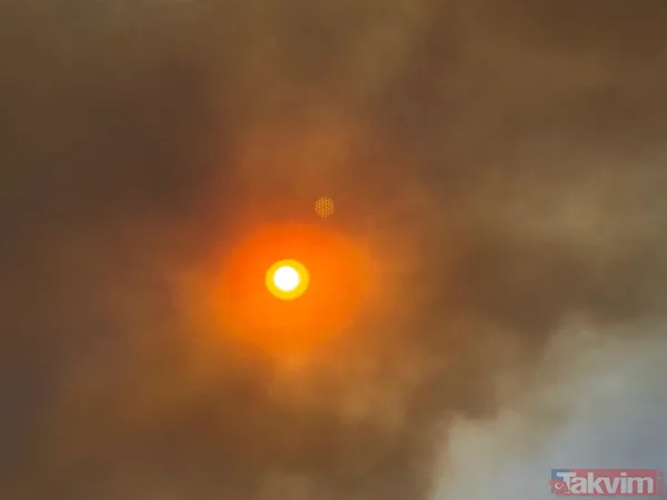 İzmir ve diğer illerde alevler kontrol altına alındı! Menderes'i yakan 'hobi' Çeşme'de izmarit izi: Bakan 'haftaya dikkat' diyerek uyardı - 8