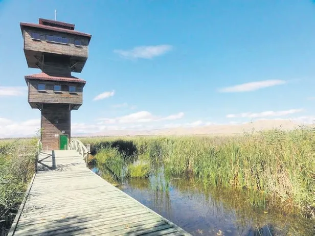 tarih-kokan-sehir-1669330972528.jpeg Tarih kokan şehir Tokat! Tarihi zenginlikleri ve doğal güzellikleriyle seyahat rotaları arasında yerini alıyor-3