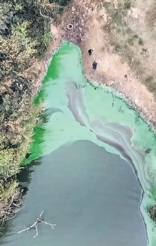 Şahintepe Gölü’ne kimyasal boşaltıldı!