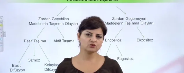 9. Sınıf - Biyoloji Dersi - Konu: Hücrede Madde Taşınması 30.03.2020 Pazartesi