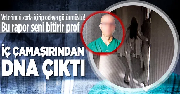 DNA'sı iç çamaşırında tespit edildi! Profesörün, veterinere cinsel saldırı davasında flaş gelişme