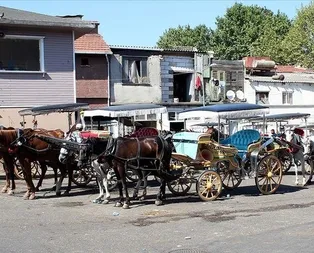 İstanbul Valisi Ali Yerlikaya kritik Adalar toplantısı sonrası açıkladı: 3 ay boyunca fayton yok!