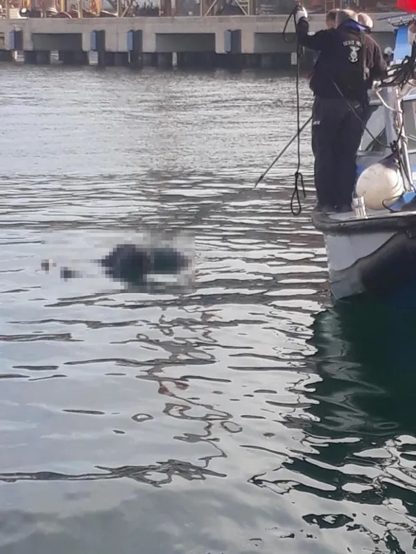 2-haftalik-ceset-denizden-cikarildi-1664268912254.jpg 2 haftalık ceset denizden çıkarıldı-3