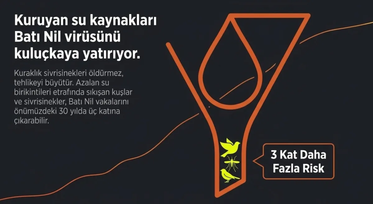 sicak-hava-hastaligi-isinan-iklim-kene-ve-sivrisinek-sezonunu-uzatabilir-1789679379495.png Sıcak hava hastalığı! Isınan iklim kene ve sivrisinek sezonunu uzatabilir!-5
