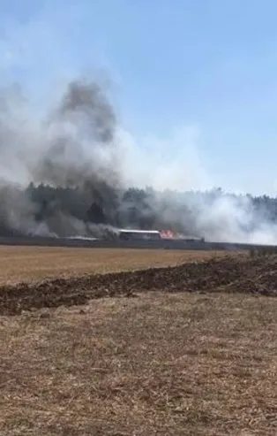 Son dakika... İzmir Buca'da orman yangını