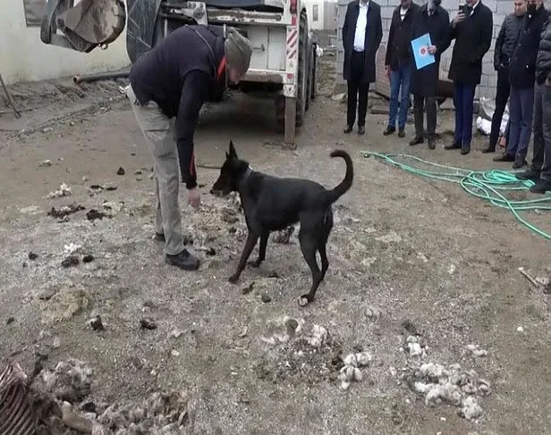 Sivas'ta geçtiğimiz günlerde açığa çıkan cinayette yeni gelişme! Olayla ilişkili 5 kişiden 3’ü tutuklandı-5