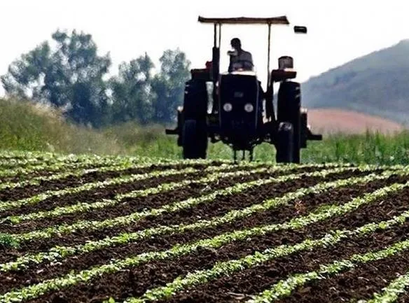 tarim-ve-orman-bakani-ibrahim-yumakli-duyurdu-300-milyonluk-tarimsal-destek-odemeleri-hesaplarda-1692386837531.jpeg Tarım ve Orman Bakanı İbrahim Yumaklı duyurdu: 300 milyonluk tarımsal destek ödemeleri hesaplarda!-4