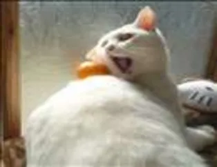 Bu fotoğraflara çok güleceksiniz-1