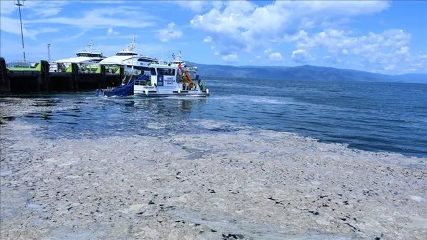 marmara-icin-eylem-plani-cevre-ve-sehircilik-bakani-murat-kurumdan-onemli-aciklamalar-1622992239704.jpeg Marmara Denizi için acil eylem planı! Çevre ve Şehircilik Bakanı Murat Kurum'dan önemli açıklamalar-7