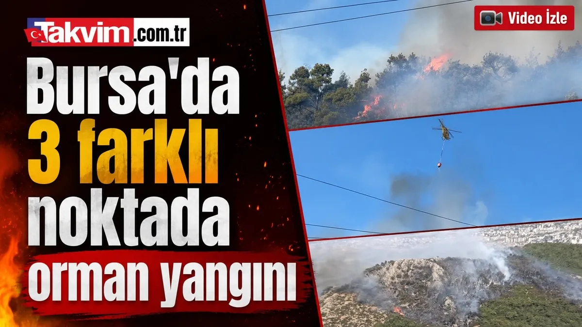 Bursa'da 3 farklı noktada orman yangını