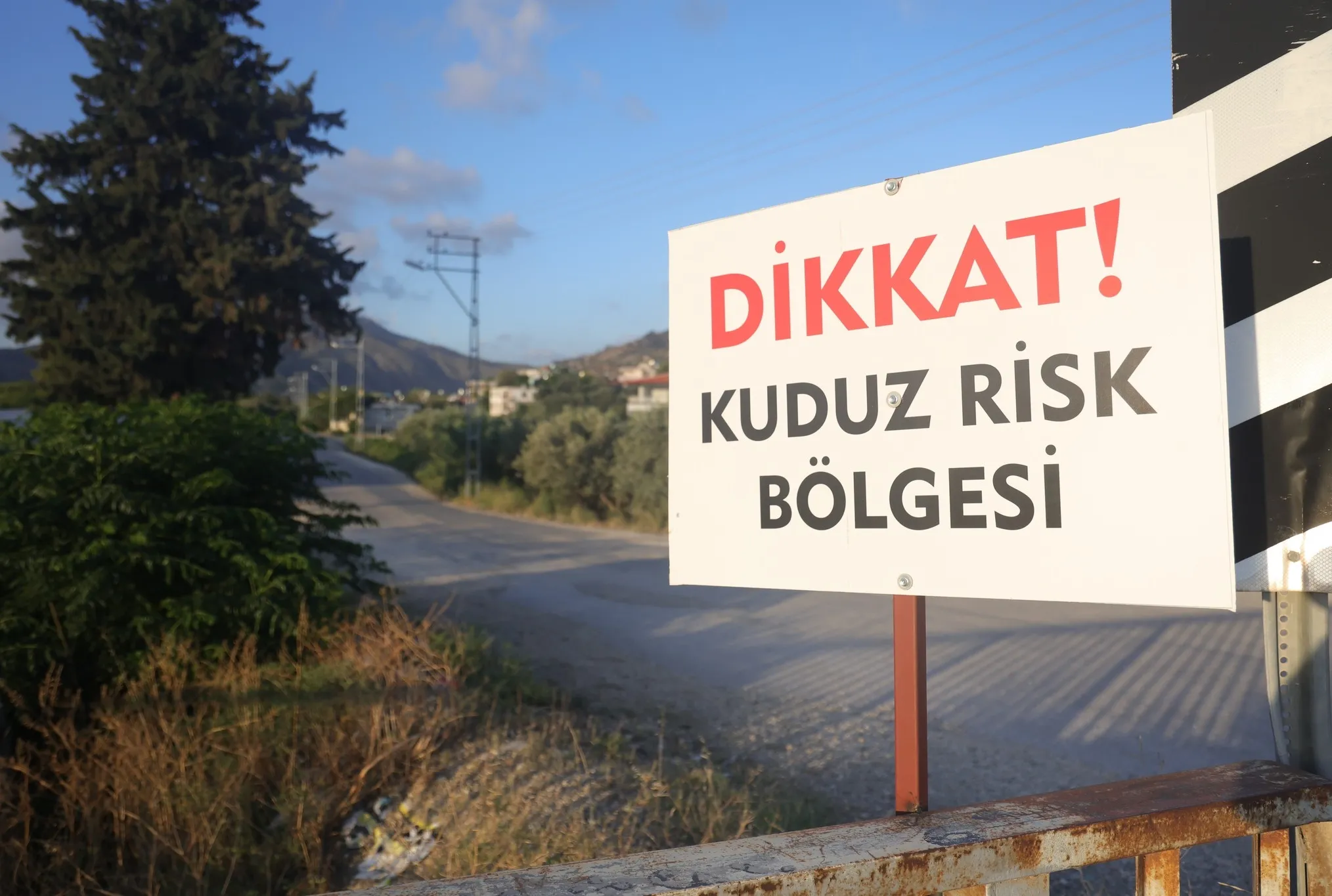 Hatay’da 4 mahallede kuduz karantinası