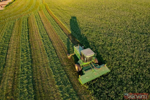 Prefabrik ev, hobi bahçesi, bağ, çiftlik,bostan hayali kuranlara... 800 TL'ye 90 m2 tarla! Yanlış duymadınız! Yarım depo benzin fiyatına toprak alın! - 8