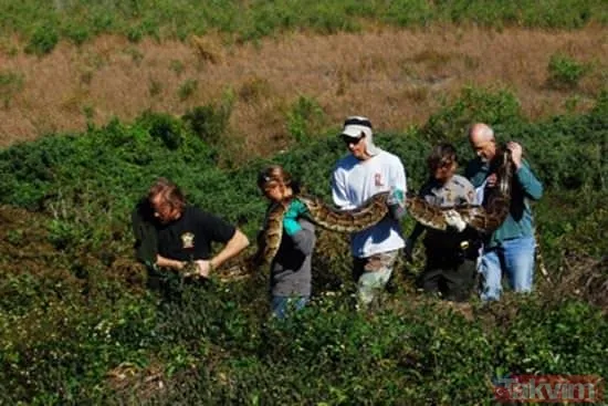 Duvarın içinden gelen seslerden ilallah etti sonunda paramparça etti! Gördükleri karşısında kalbi yerinden çıkacaktı - 44