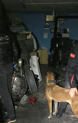 İstanbul'da büyük operasyon