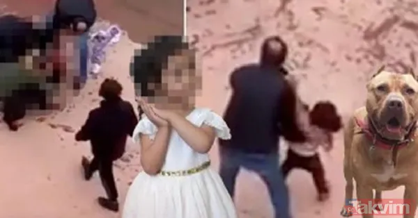 Gaziantep'te iki "pitbull"un minik Asiye Ateş'e saldırısıyla ilgili iddianame hazırlandı: Köpekler silah olarak nitelendirildi - 3