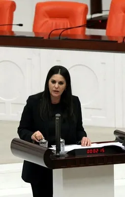 Bakan Sarıeroğlu'dan sert tepki