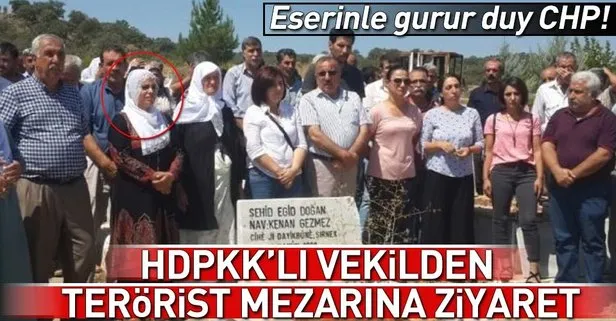 HDP’li vekil PKK’lı teröristin mezarını ziyaret etti!