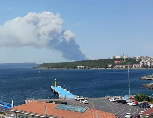 Çanakkale’de orman yangını!
