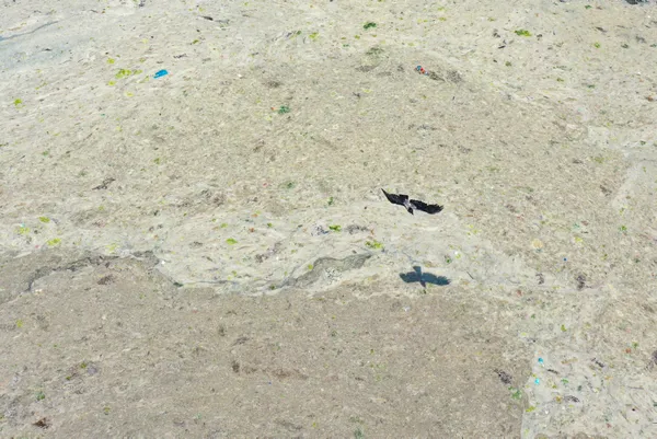 son-dakika-marmara-denizindeki-musilaja-karsi-balikcilarin-b-plani-afrikaya-acilmak-1624861738977.jpg SON DAKİKA: Marmara Denizi'ndeki müsilaja karşı balıkçıların B planı: Afrika'ya açılmak-3