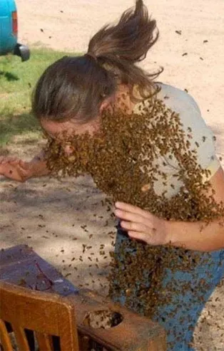 Her şey bir anda oldu! Arılar bir anda saldırdı hayatının şokunu yaşadı