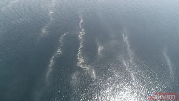 Müsilaj kabusu geri döndü! İstanbul'da müsilaj her geçen dakika artıyor - 15