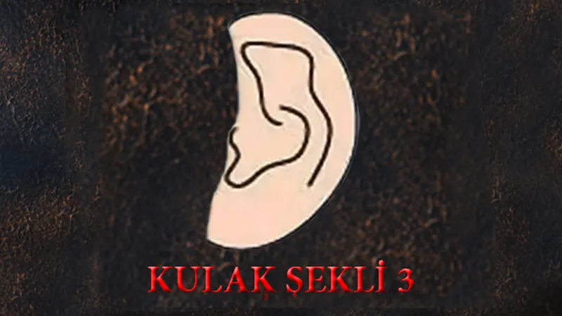 kulak-sekliniz-buysa-en-guclu-sezgileri-olan-kisileri-sak-diye-ortaya-cikiyor-1711887514174.jpg Kulak şekliniz buysa en güçlü sezgileri olan kişileri şak diye ortaya çıkıyor-4