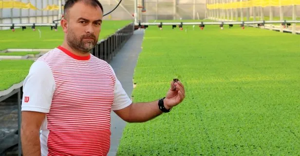Su tesisatçılığını bırakarak bu sektöre atıldı!