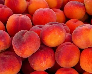 Kansersavar şeftali