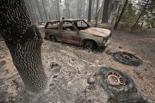 Dünya orman yangınlarıyla mücadele ediyor! İşte ülke ülke son durum...-6