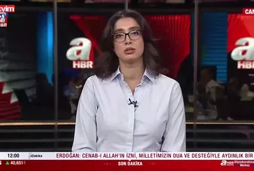 MSB'den 14 şehit ve SDG açıklaması!