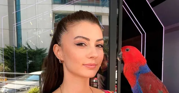 Burcu Özberk takipçi satın aldığını kendi ağzıyla ortaya çıkardı!