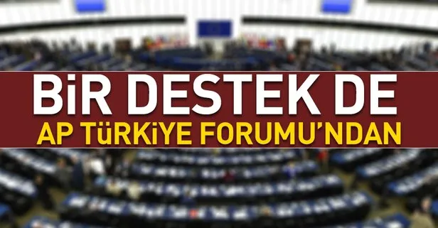 Son dakika... AP Türkiye Forumu’ndan Türkiye’ye destek!