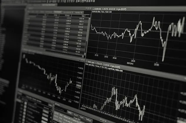 Uluslararası Finans Enstitüsü (IIF) Başekonomisti Robin Brooks Türkiye'yi övdü felaket tellalı Özgür Demirtaş kudurdu