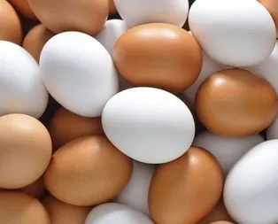 Yumurtayla yaşlanma