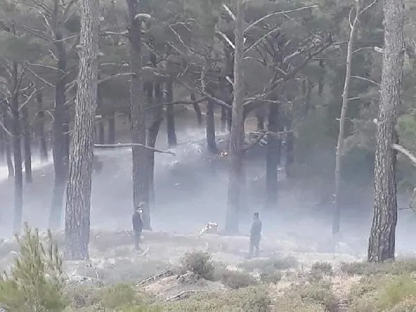 Son dakika: Balıkesir'in Edremit ilçesinde çıkan orman yangını kontrol altına alındı-1