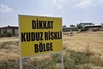 Şanlıurfa'da başıboş köpek felaketi! Sumaklı Mahallesi karantinaya alındı: 'Dikkat kuduz riskli bölge'