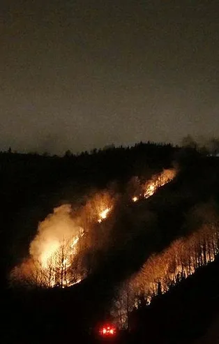 Trabzon'daki örtü yangınlarına müdahale ediliyor