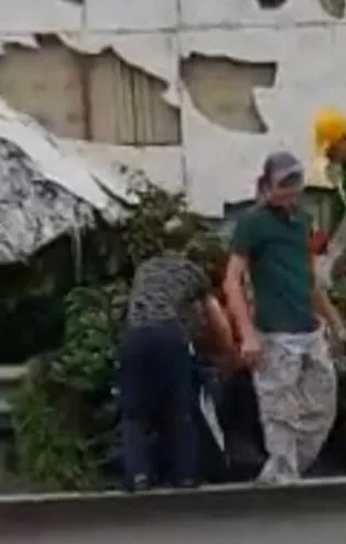 CHP'li İBB Başkanı Ekrem İmamoğlu yine dikey bahçe katliamında! Vatandaştan sert tepki!