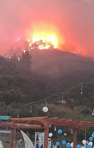 Aydın Söke'de orman yangını kontrol altında!