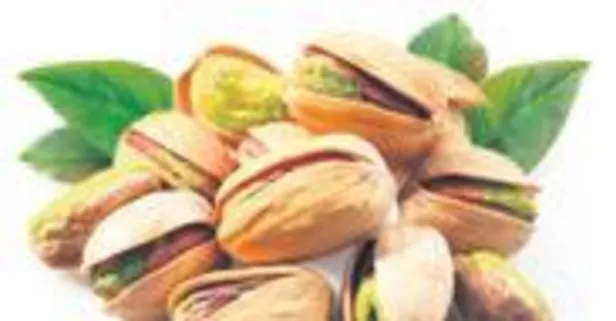 Böbrek için fıstık! Bin derde deva