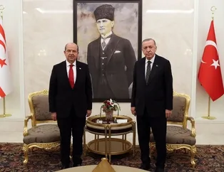 Başkan Erdoğan, Tatar ile görüştü