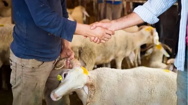 kurban-kesmek-yerine-para-verilebilir-mi-kimlerin-kurban-kesmesi-vaciptir-kurban-yerine-sadaka-verilir-mi-1687869732807.jpeg Kimlerin kurban kesmesi vaciptir? Kurban kesmek yerine para verilebilir mi? Kurban yerine sadaka verilir mi?-2