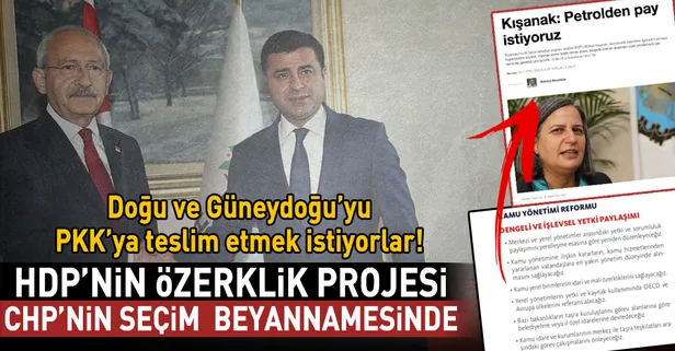 HDP ve PKK'nın özerklik projesi CHP'nin seçim beyannamesinde