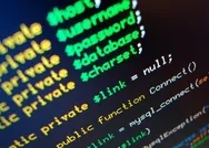 1 Milyon yazılımcı başvuru CV havuzu ekranı! BTK Eğitim Portalı nasıl kayıt olunur? Yazılımcı nasıl olunur?