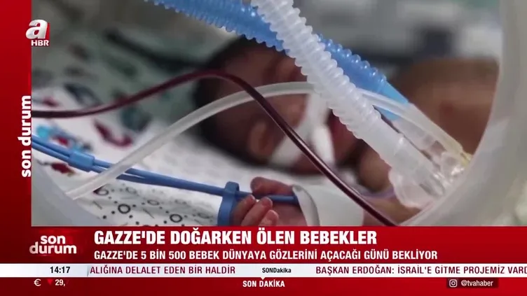 Gazze'de doğarken ölen bebekler