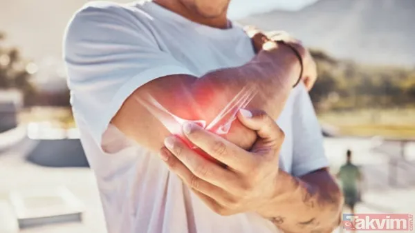 3,5 Milyon Sterlinlik Destek Prof. Gamper Ve Ekibinin Bu Mekanizmayı Daha Kapsamlı Şekilde Araştırması İçin 3,5 Milyon Sterlinlik Yeni Bir Fon Sağlandığı...