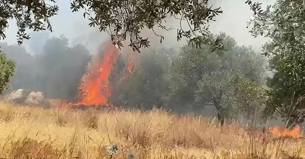 Son dakika: Antalya Kaş'ta orman yangını! Havadan ve karadan müdahaleyle kontrol altına alındı