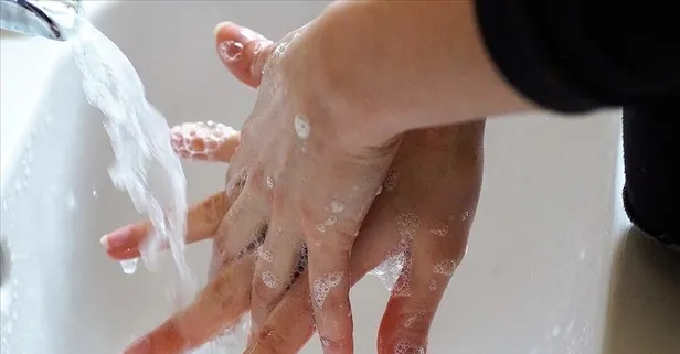 El yıkama hastalıklardan korur