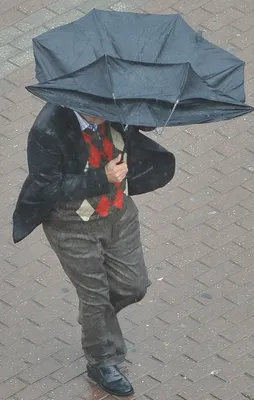 Uzmanlardan korkutan uyarı! Önümüzdeki şubat aylarında...